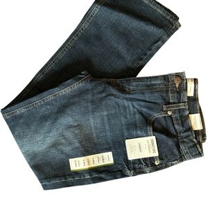 Levi Strauss Gold Signature Blue Denim Jeans